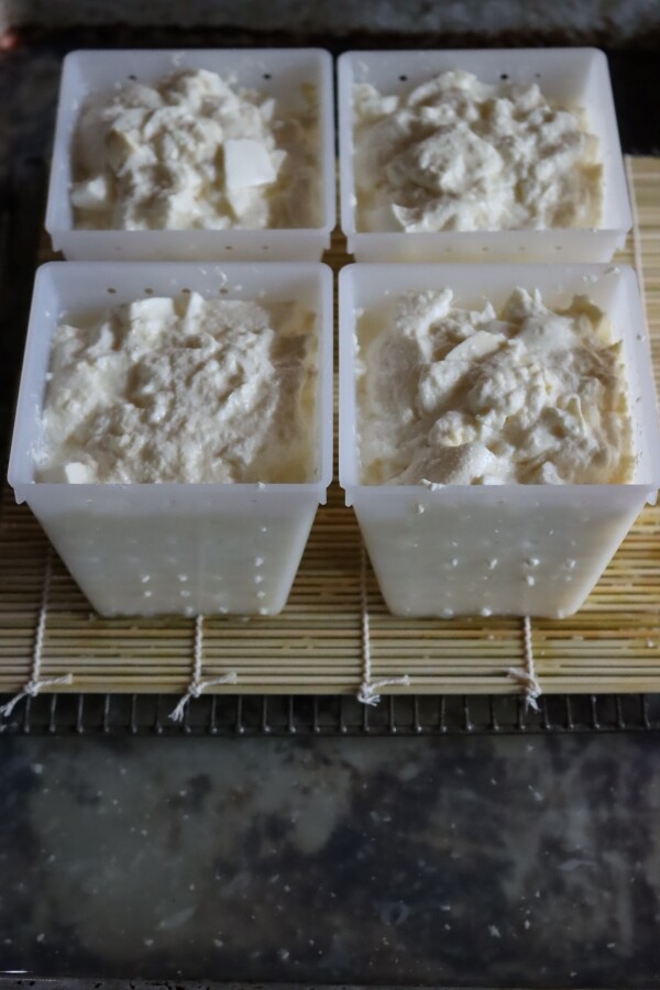 Curds draining in pyramid shaped cheese molds for surface ripened soft cheese