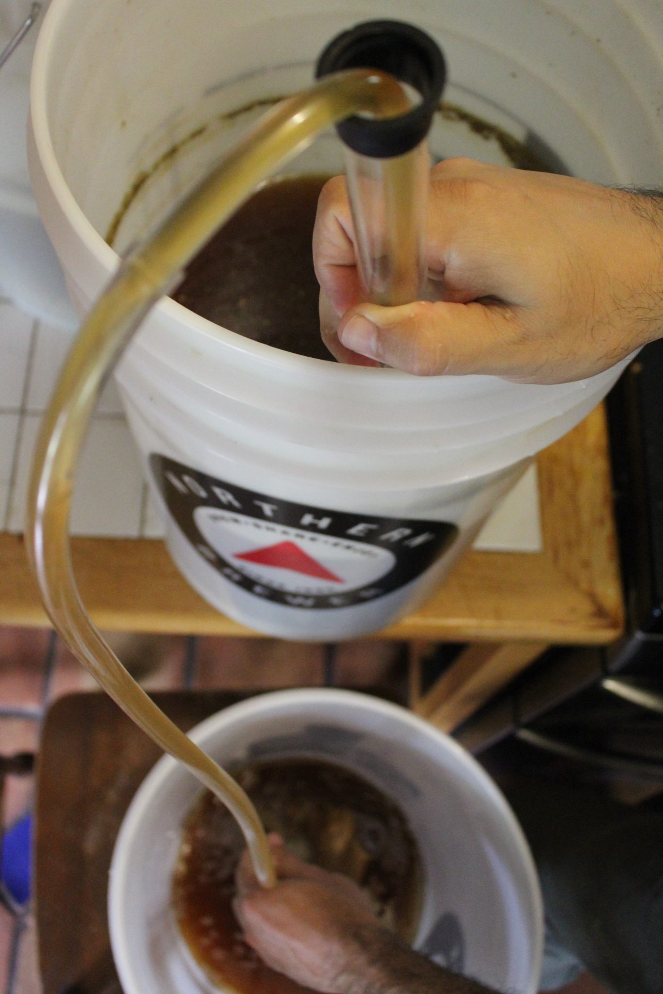 Racking homemade beer from a primary fermented into a clean secondary fermentation bucket with a siphon.