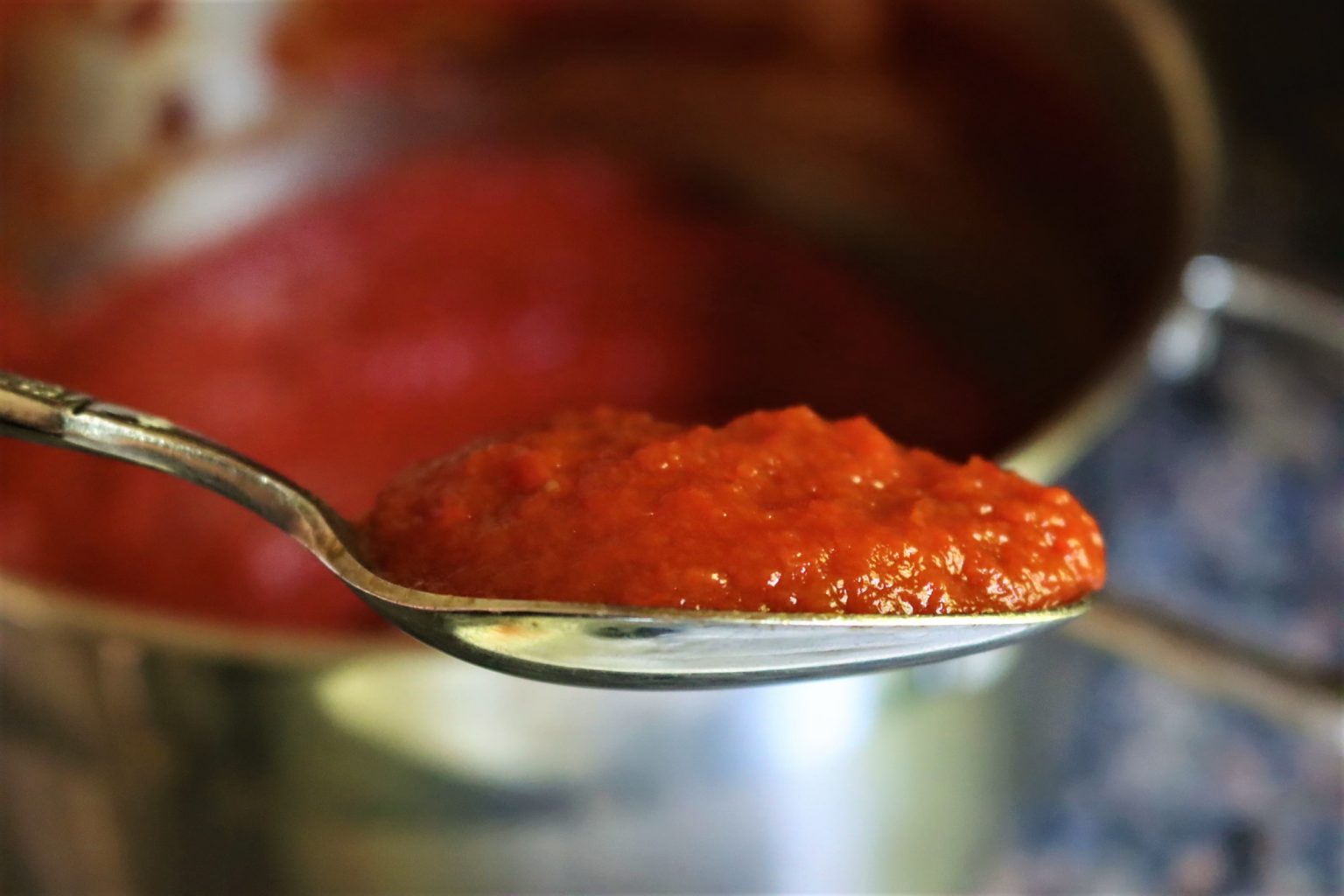 Tomato Paste on Spoon