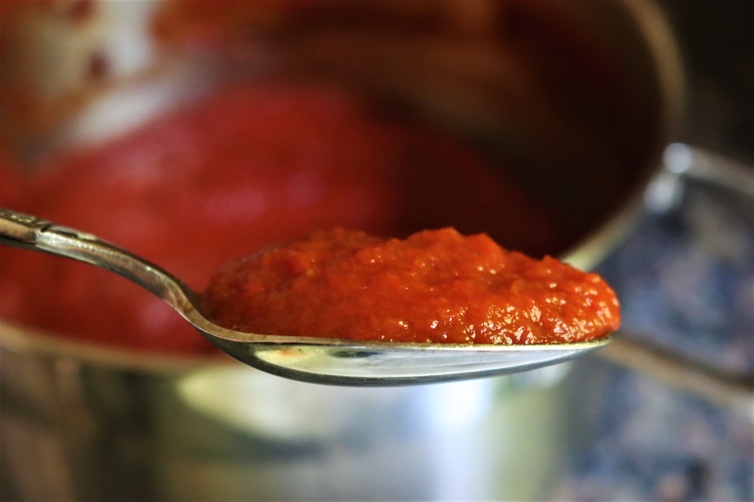 Tomato Paste on Spoon