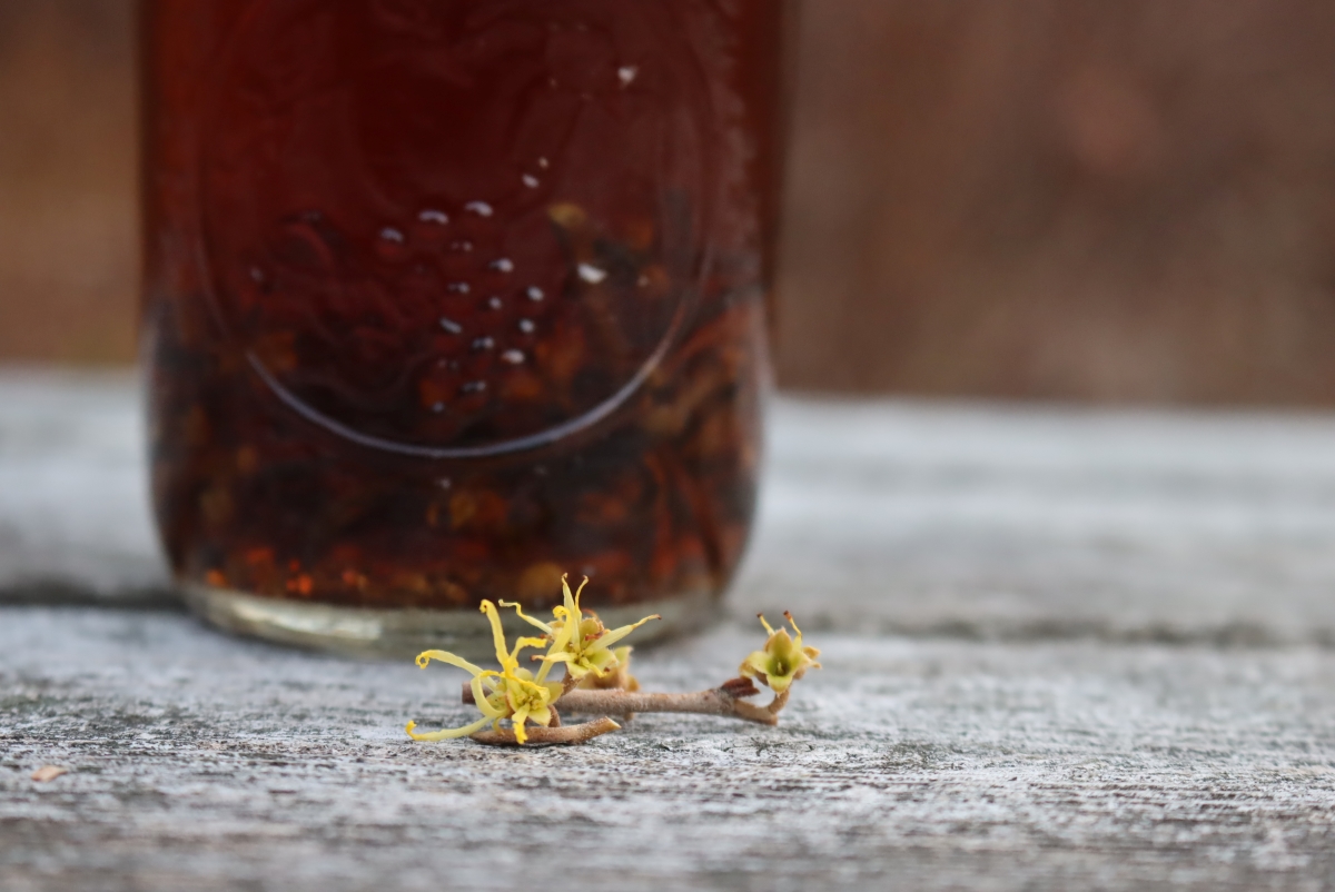 witch hazel extract