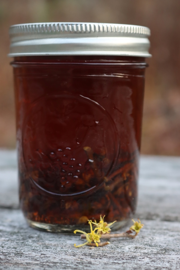 Homemade witch hazel extract