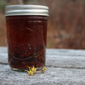 Homemade witch hazel extract