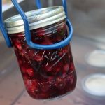 Canning Blueberries