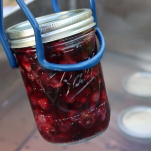 Canning Blueberries