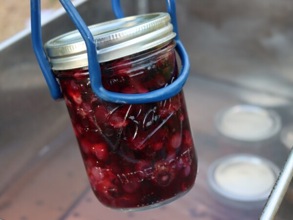 Canning Blueberries