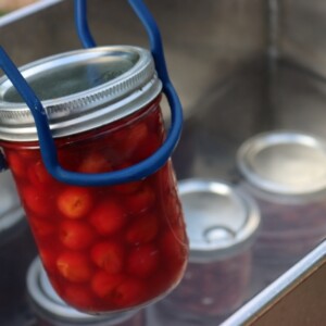 Canning Cherries