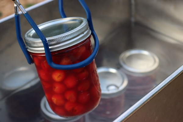 Canning Cherries