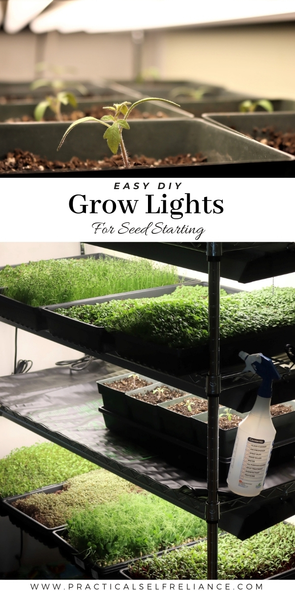 DIY Grow Lights for Seed Starting