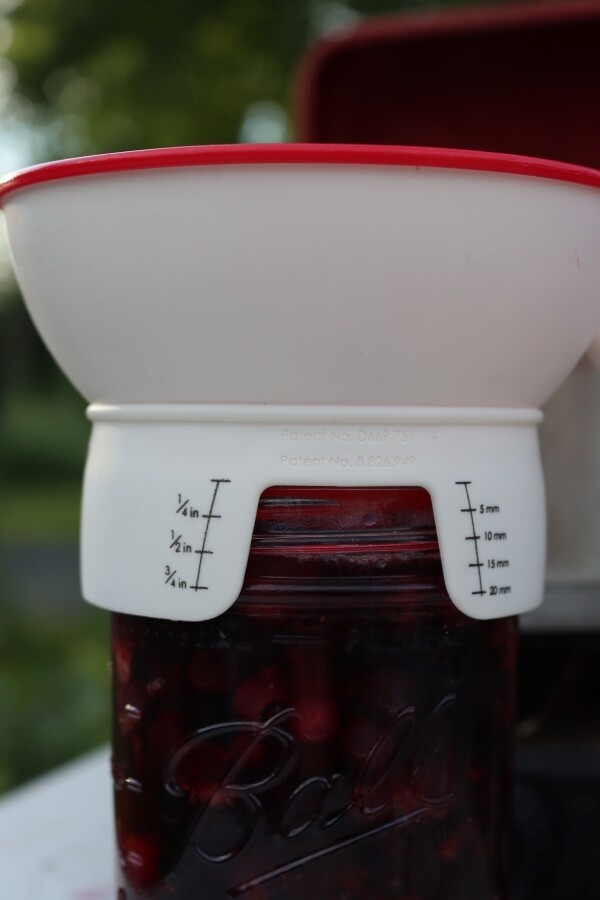 Headspace for Canning Blueberries