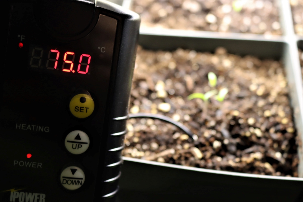 Heat Pad Temp Regulator