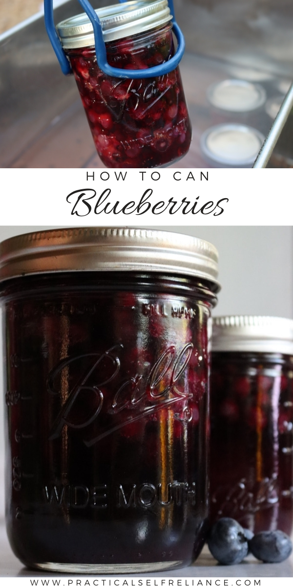 How to Can Blueberries