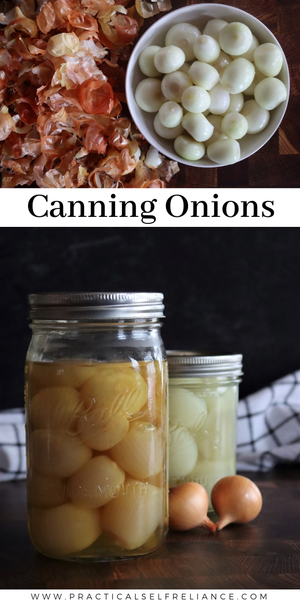 How to Can Onions ~ Learn the basics of pressure canning onions at home