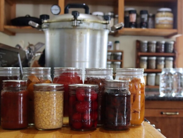 A selection of pressure canned food. Back Row (left to right): Beef Broth, Pumpkin, Tomatoes, Pinto Beans, Sweet Potato. Front Row: Pasta Sauce, Corn, Beets, Black Beans.
