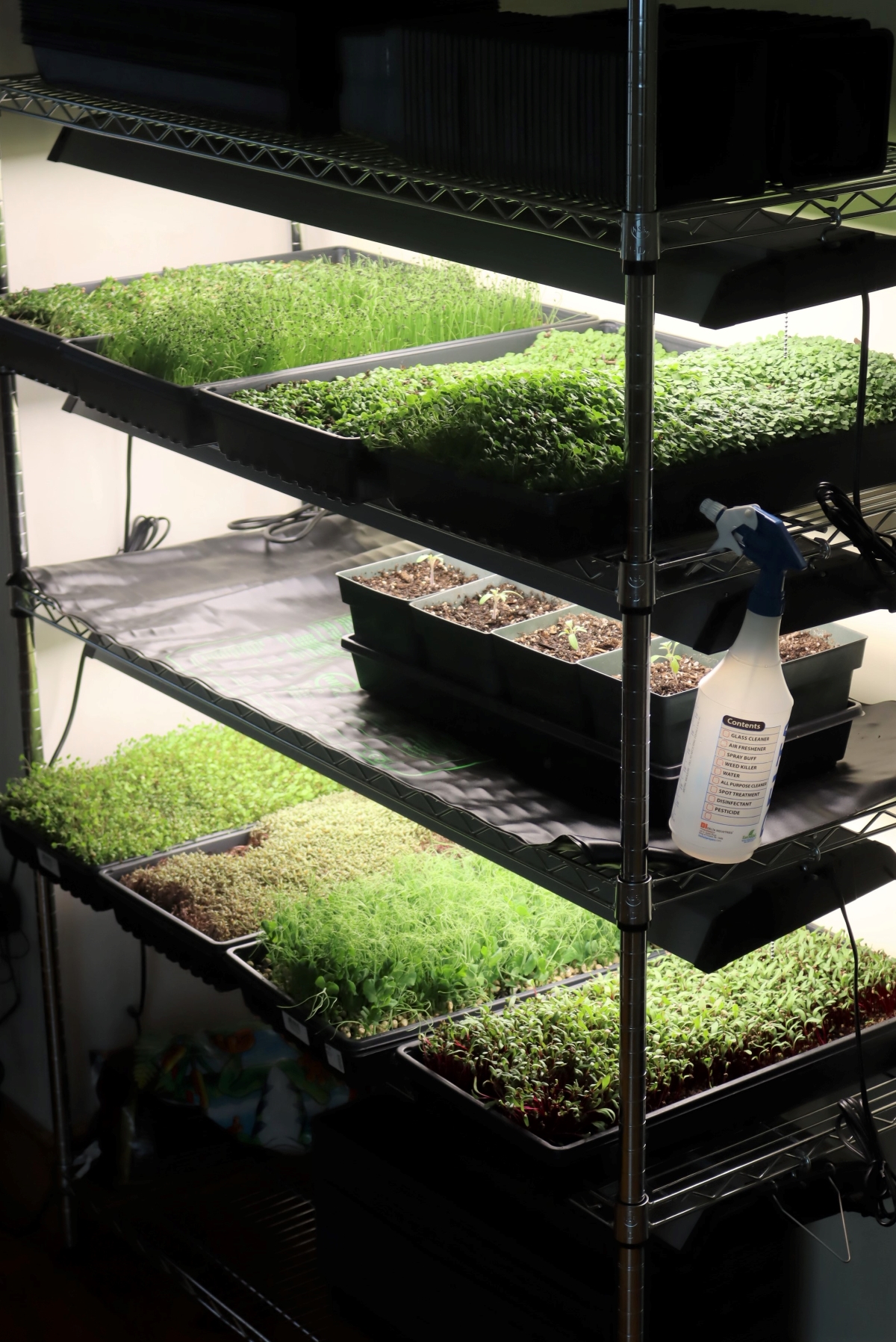 DIY Grow Lights or Seed Starting Lights
