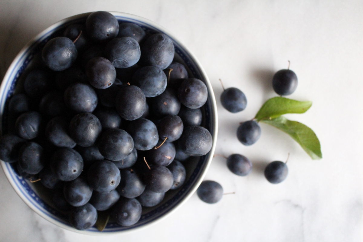Damson Plums in Bowl