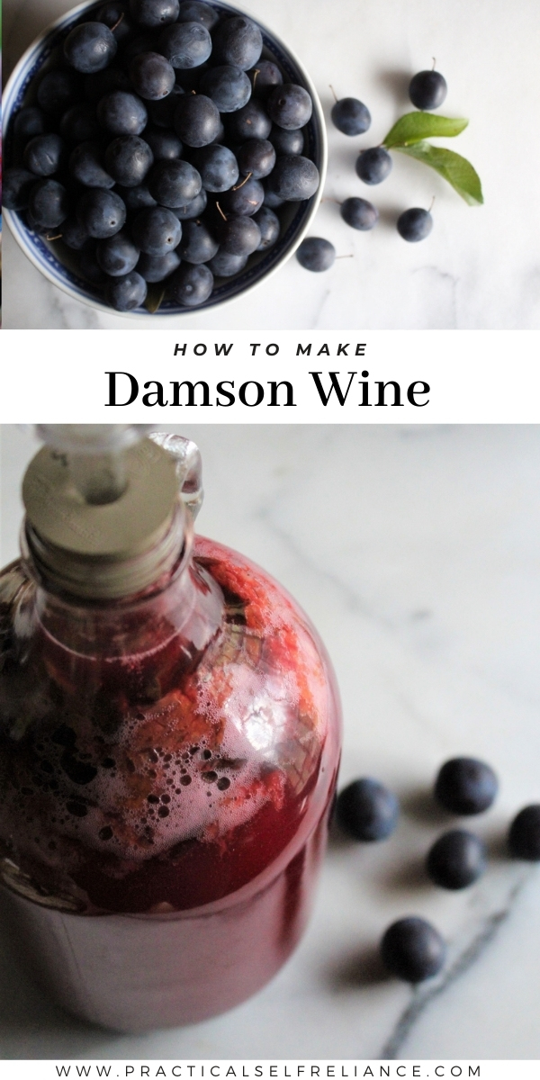 Damson Wine