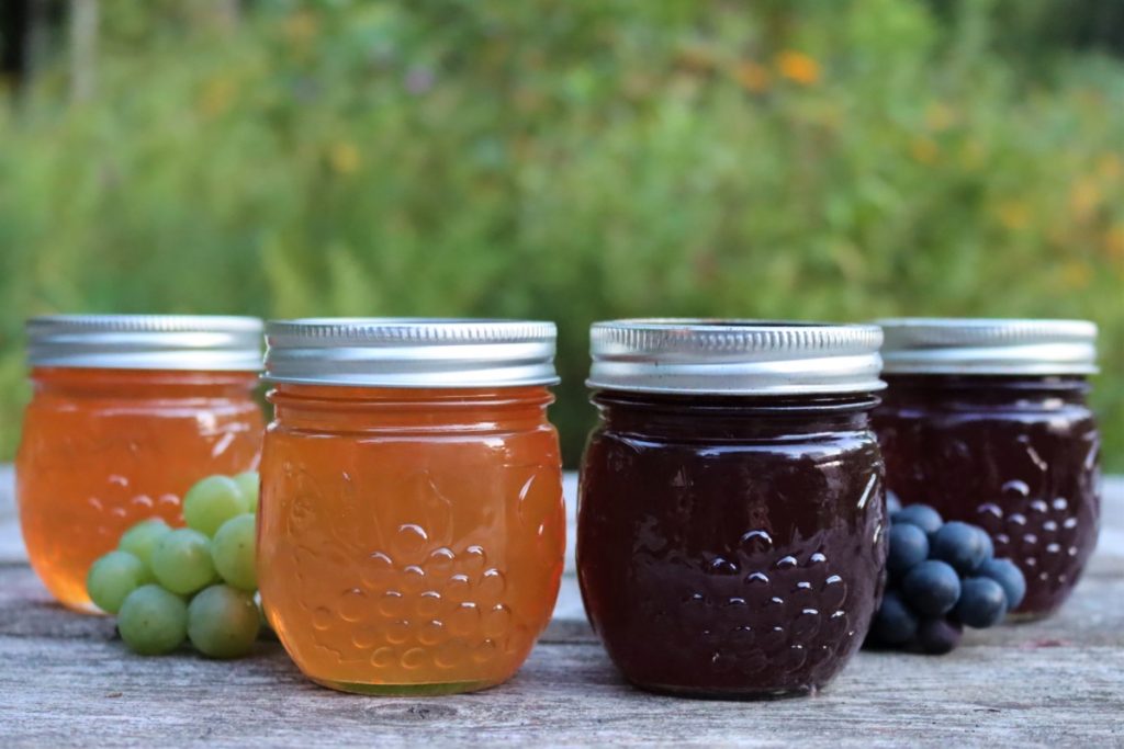 Homemade Grape Jelly
