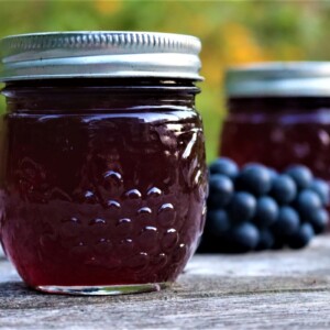 Grape Jelly