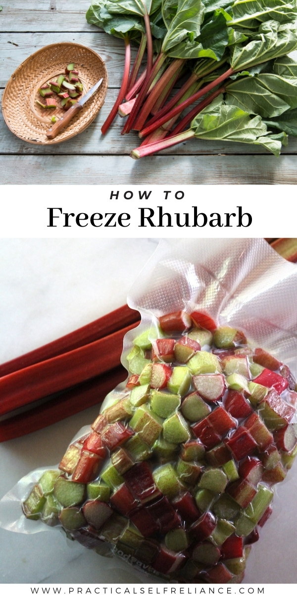How to Freeze Rhubarb