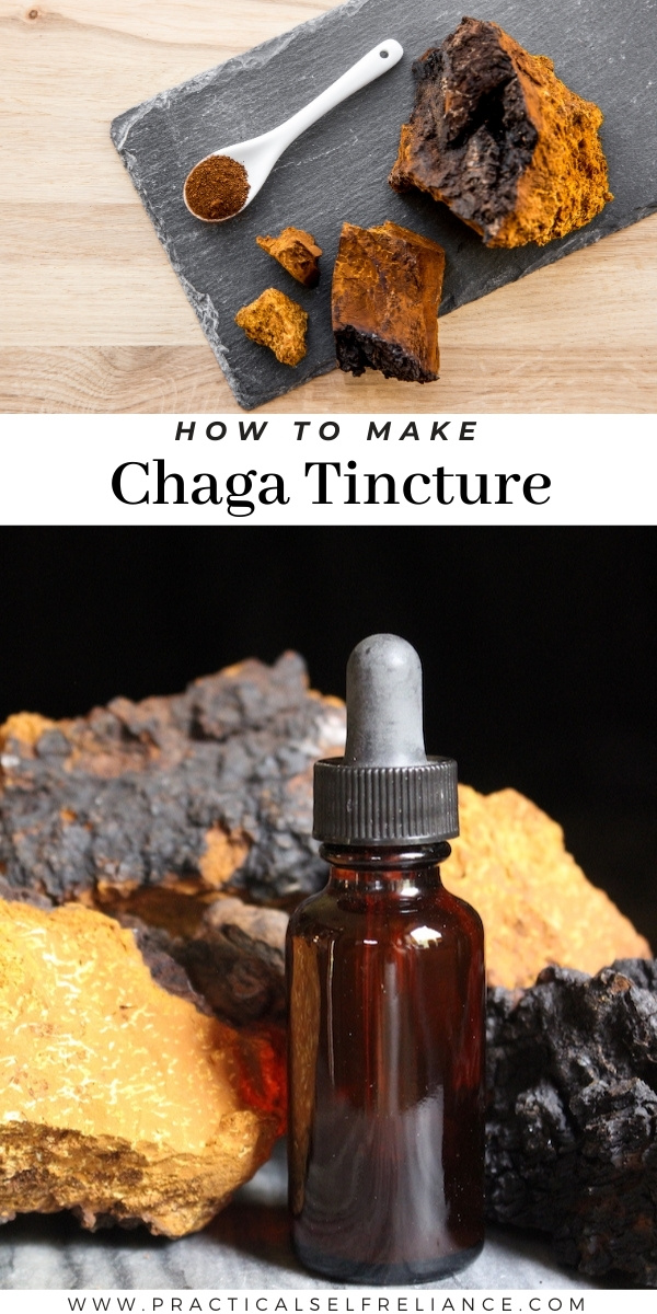 How to Make Chaga Tincture