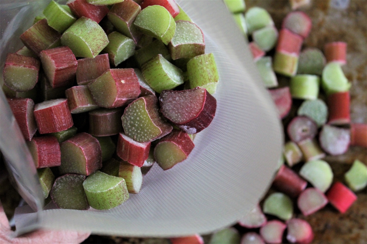 Loading Frozen Rhubarb into Bag