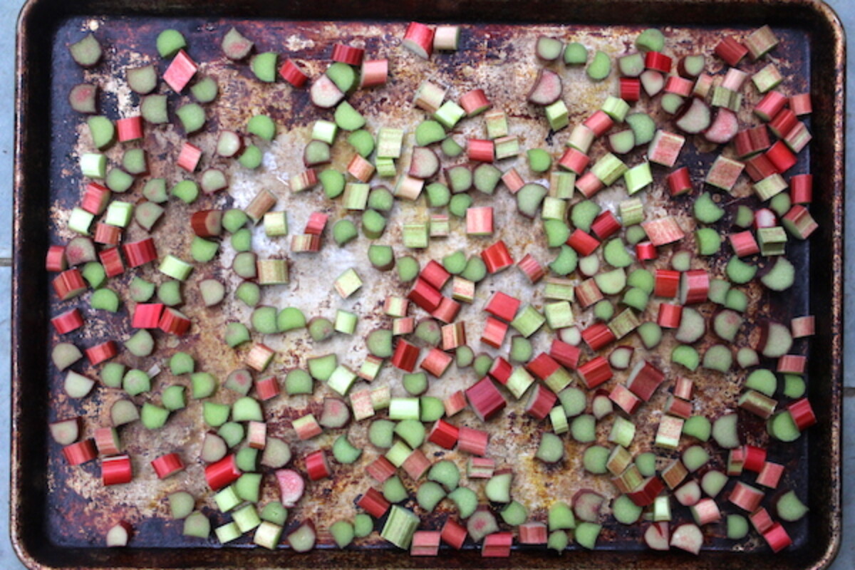 Flash Freezing Rhubarb on a Baking Tray