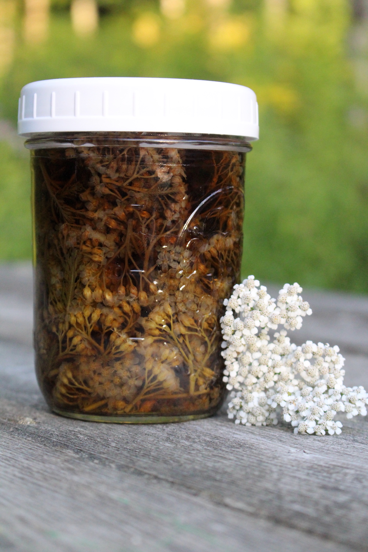 Yarrow Tincture
