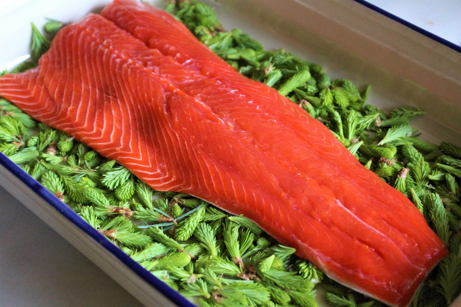 salmon ready for salt curing to make homemade gravlax