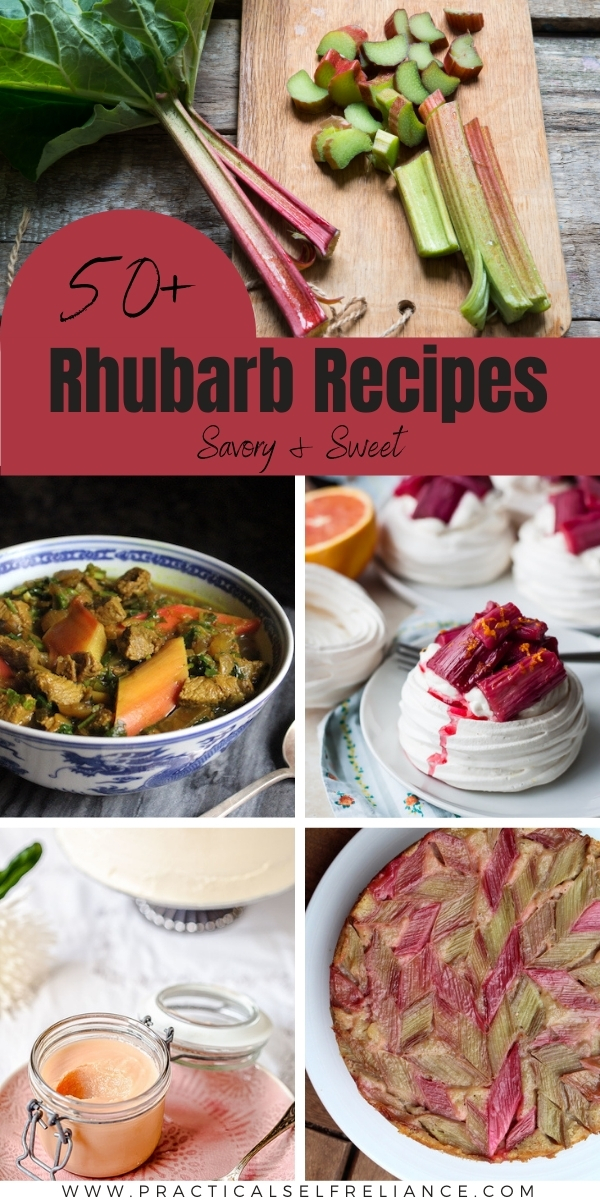 50+ Rhubarb Recipes ~ Sweet & Savory — Practical Self Reliance