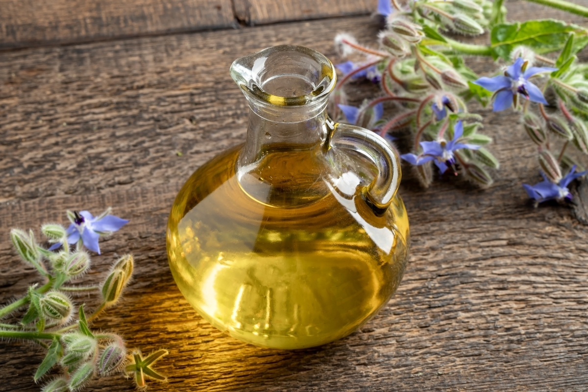 Borage Infused Oil