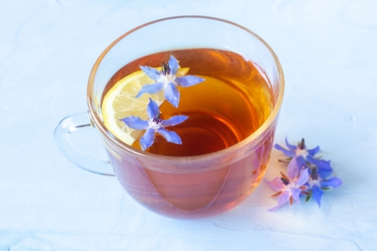 Borage Tea