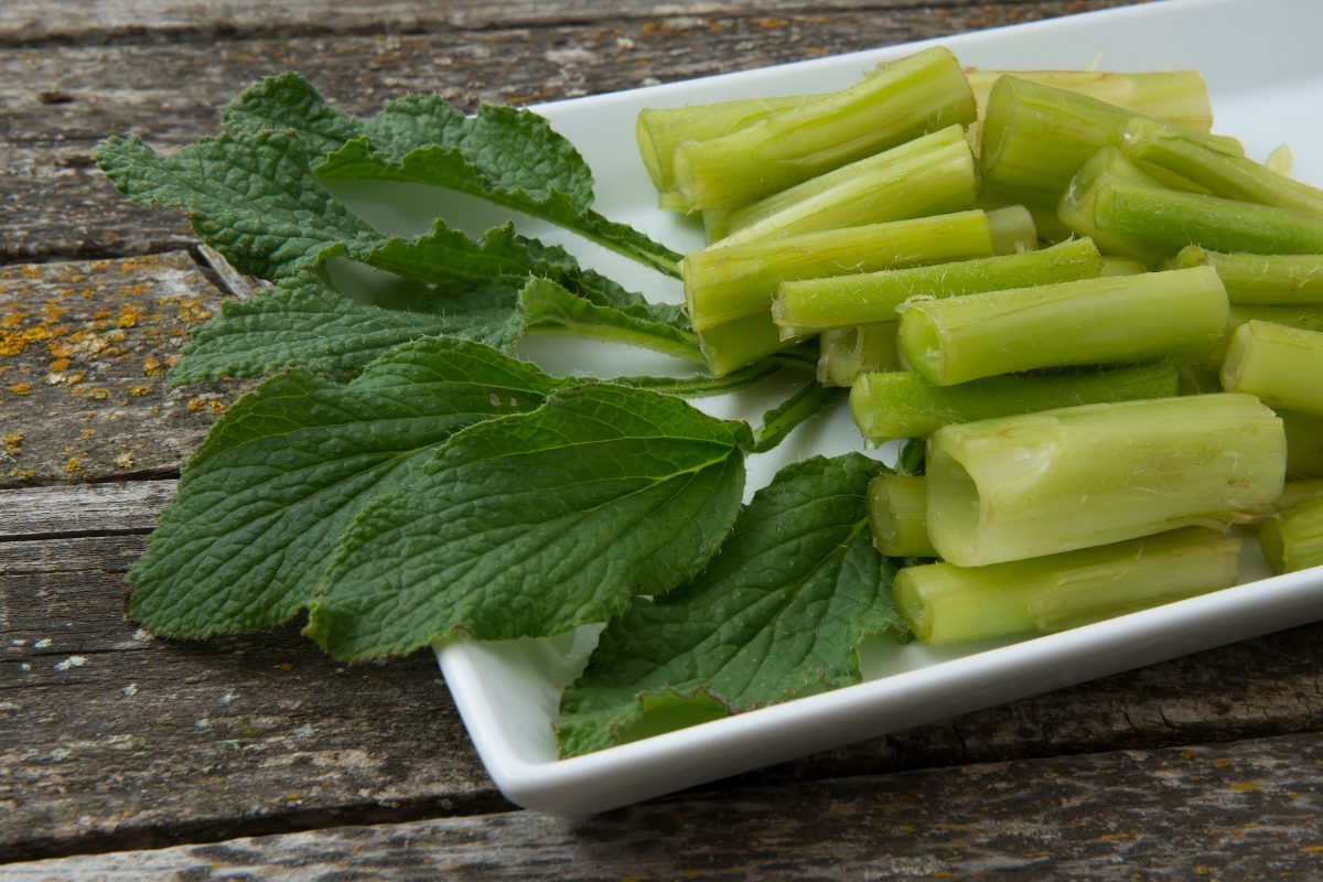 Borage leaves and stems