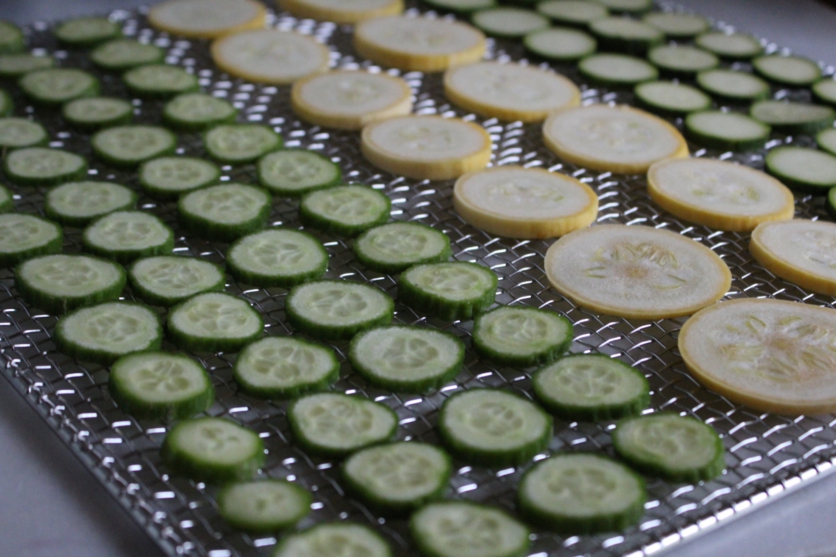 Cucumbers and Squash on Dehydrator Tray