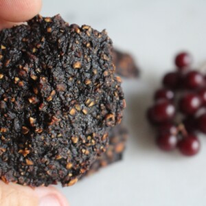 Dried Chokecherry Patties