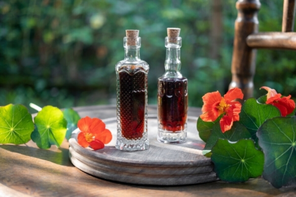 Nasturtium Liqueur