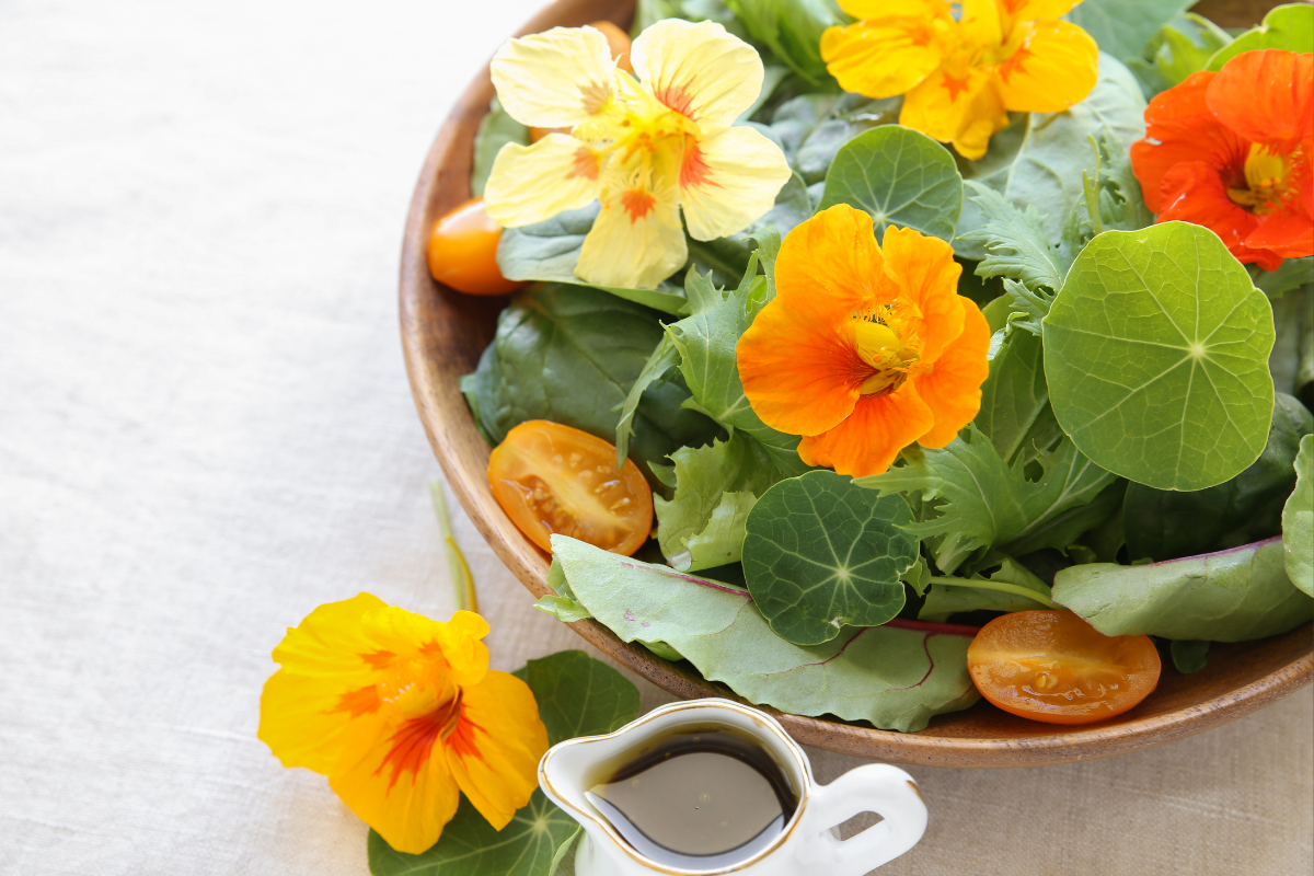 Nasturtium Salad