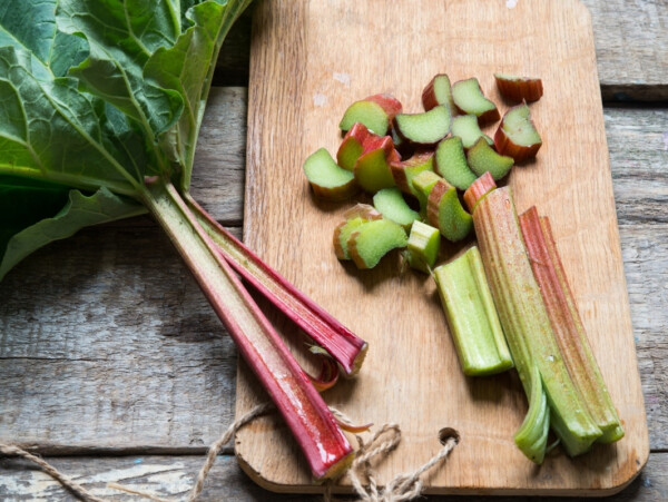 Rhubarb Recipes