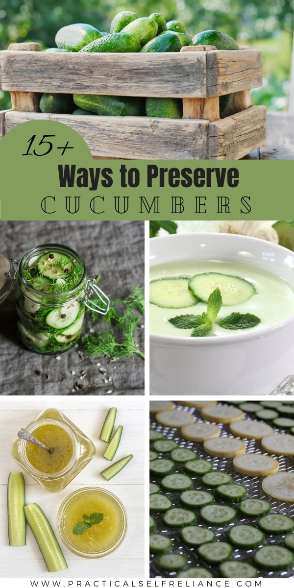 Ways to Preserve Cucumbers