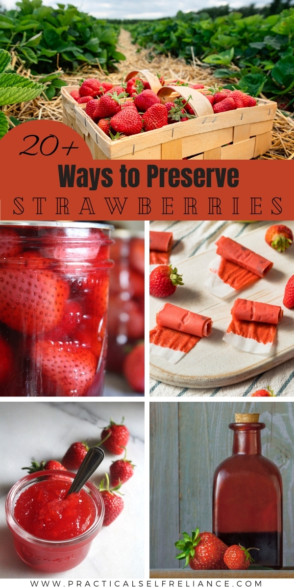 Ways to Preserve Strawberries