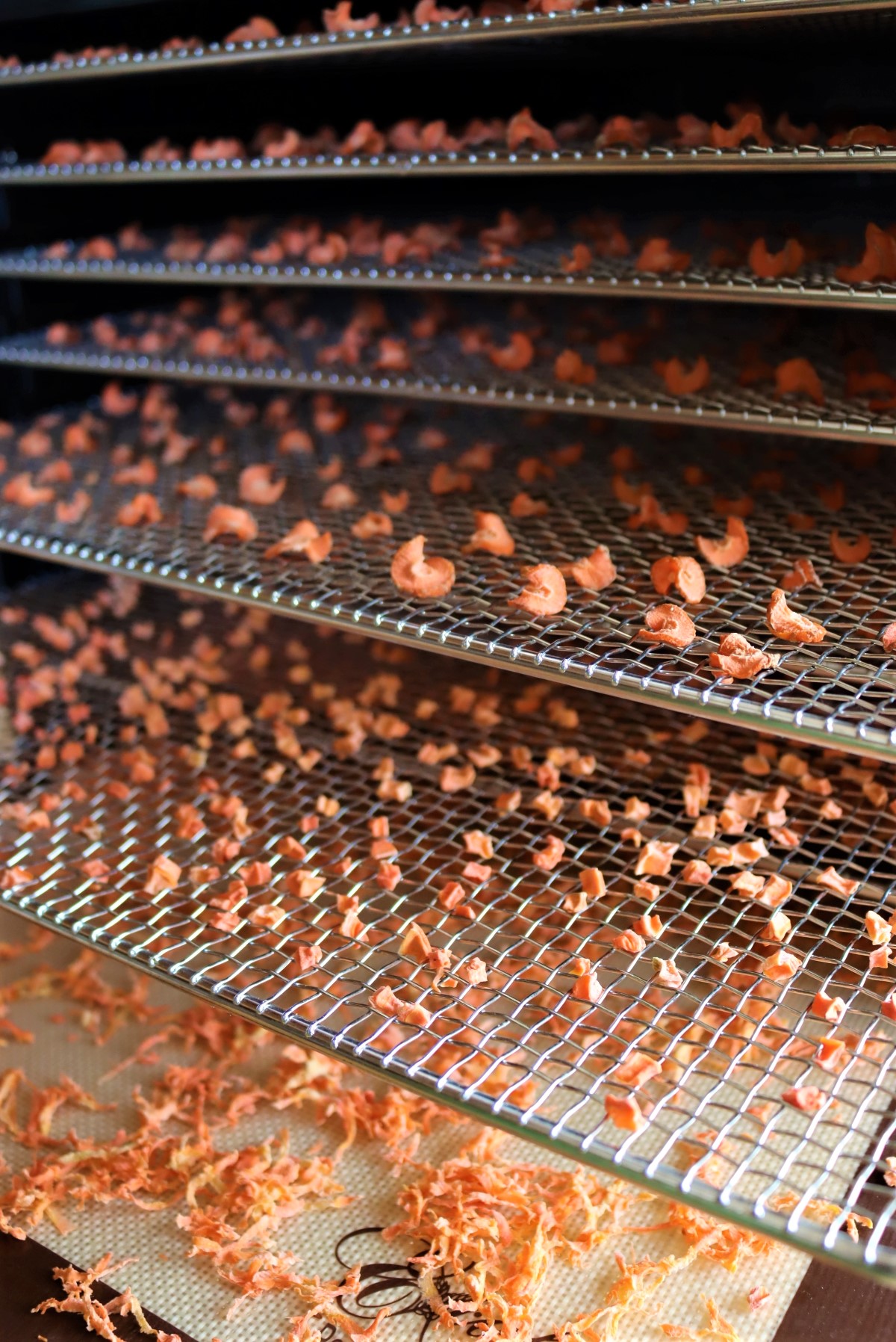 dried carrots