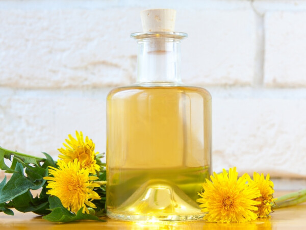Dandelion Oil