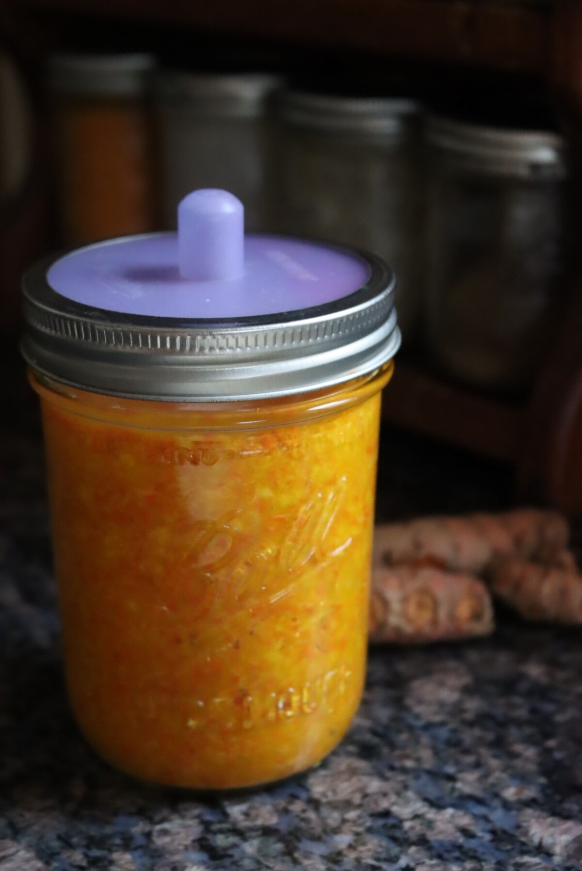 Fermented Turmeric