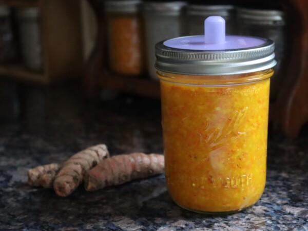 Fermented Turmeric