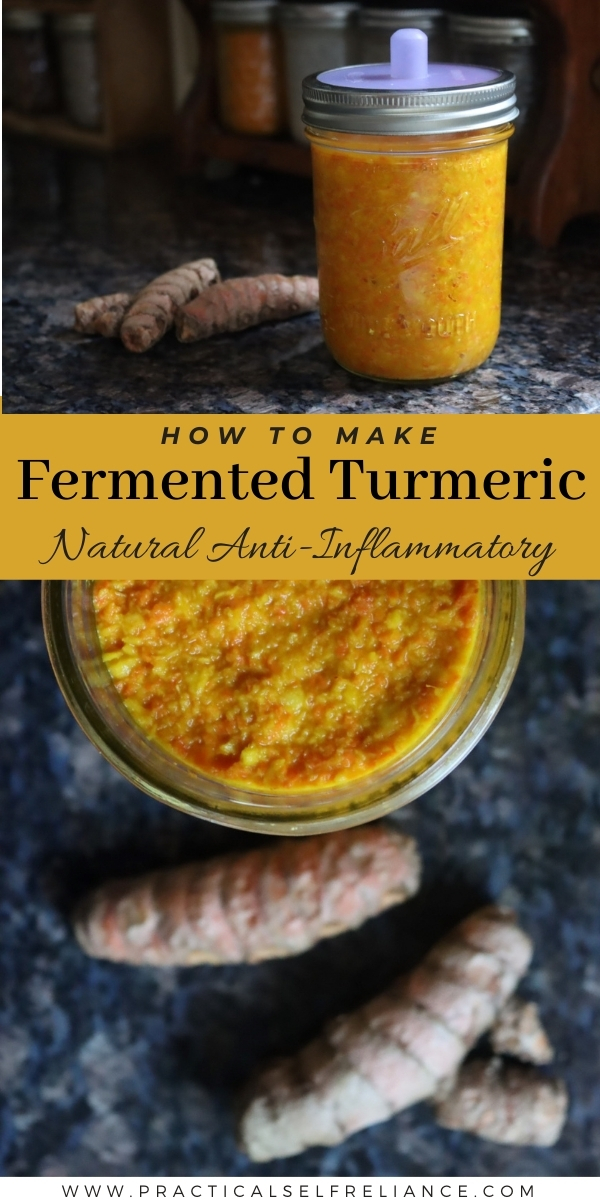 Fermented Turmeric ~ Natural Anti-Inflammatory — Practical Self Reliance