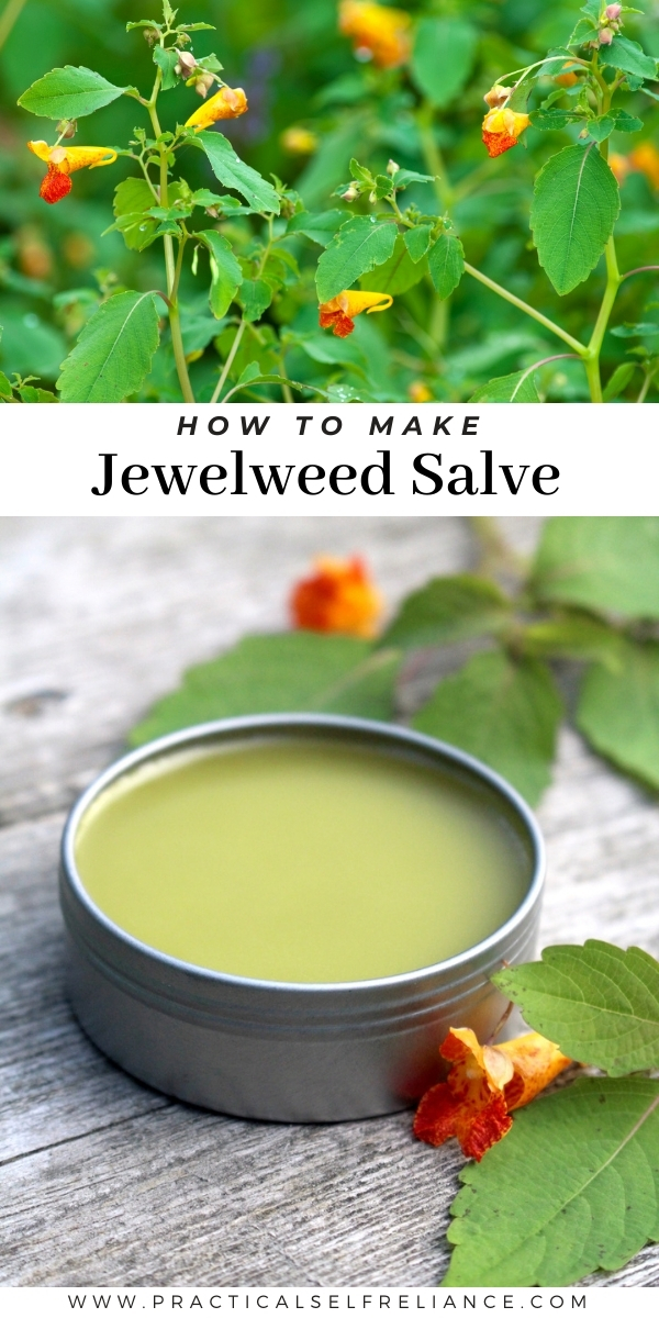 How to Make Jewelweed Salve