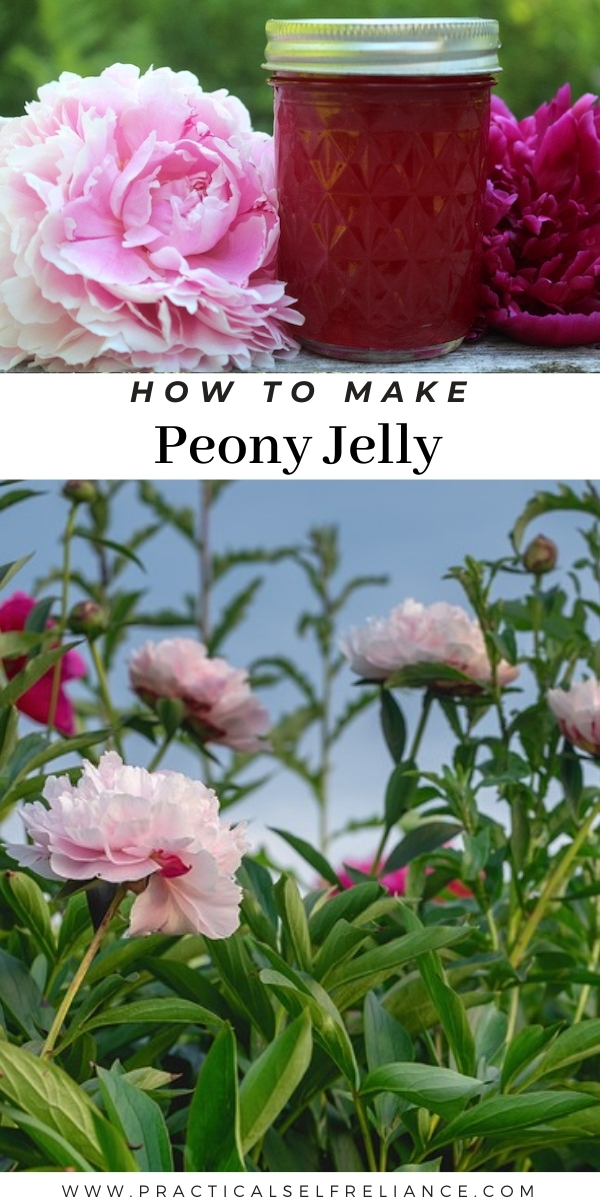 How to Make Peony Jelly