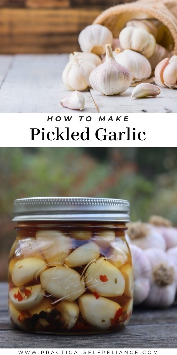 How to Make Pickled Garlic