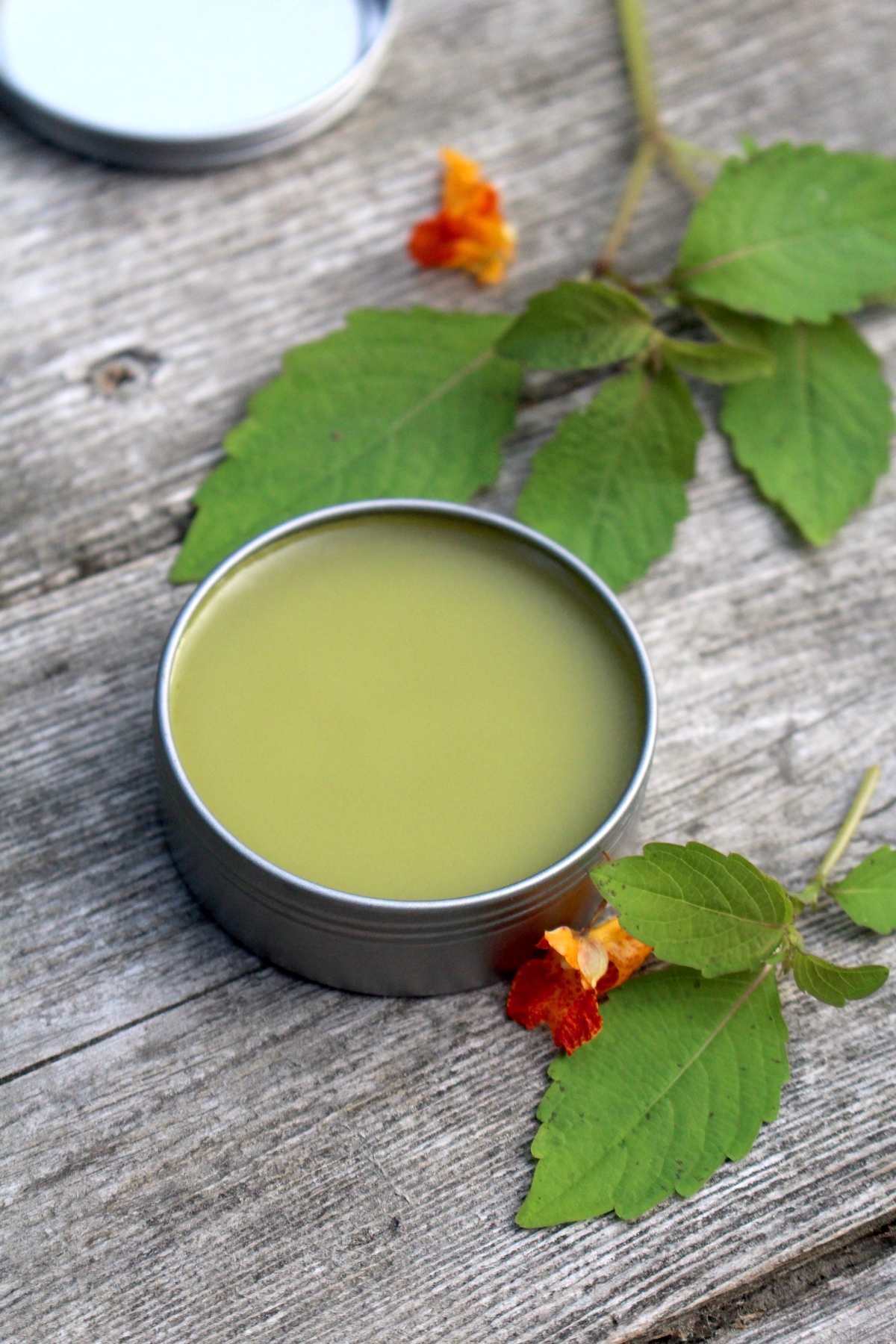 Jewelweed Salve