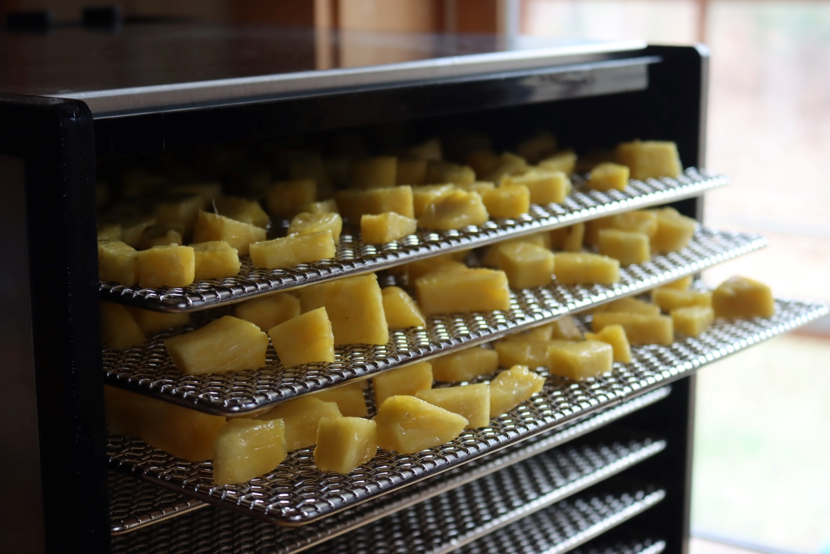 Pineapple in Dehydrator